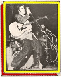 Elvis